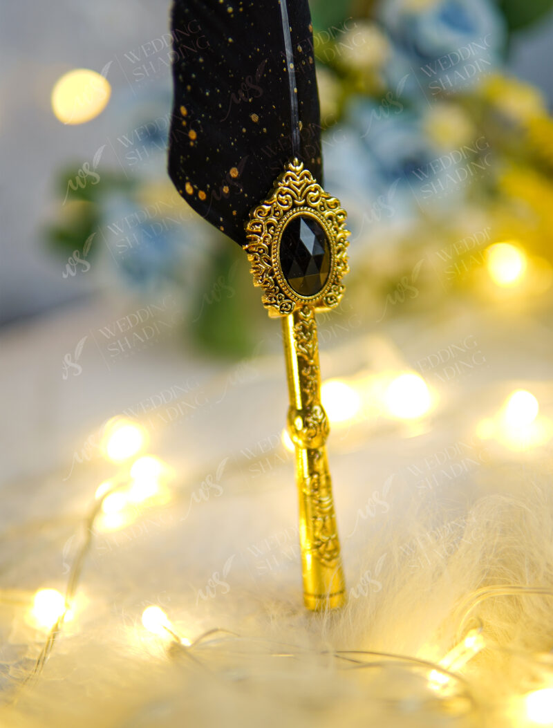 Phenomenally sleek jet black feather with brilliant cascading gold specks