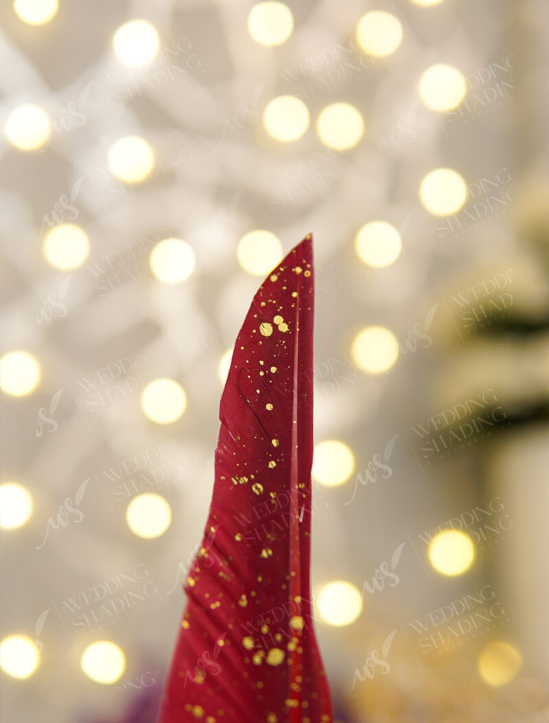 Ornate vintage golden frame enclosing a gorgeous large red gem