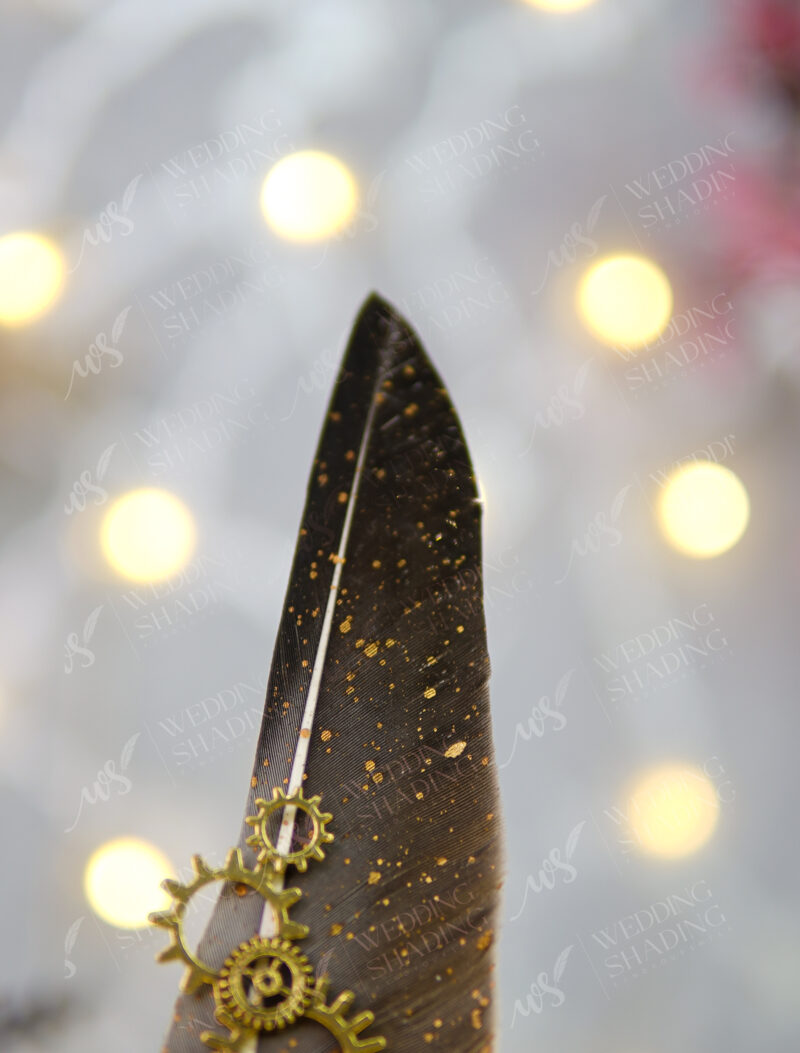 Dark Steampunk Feather Nikkah Pen with Black Crystal by Wedding Shading