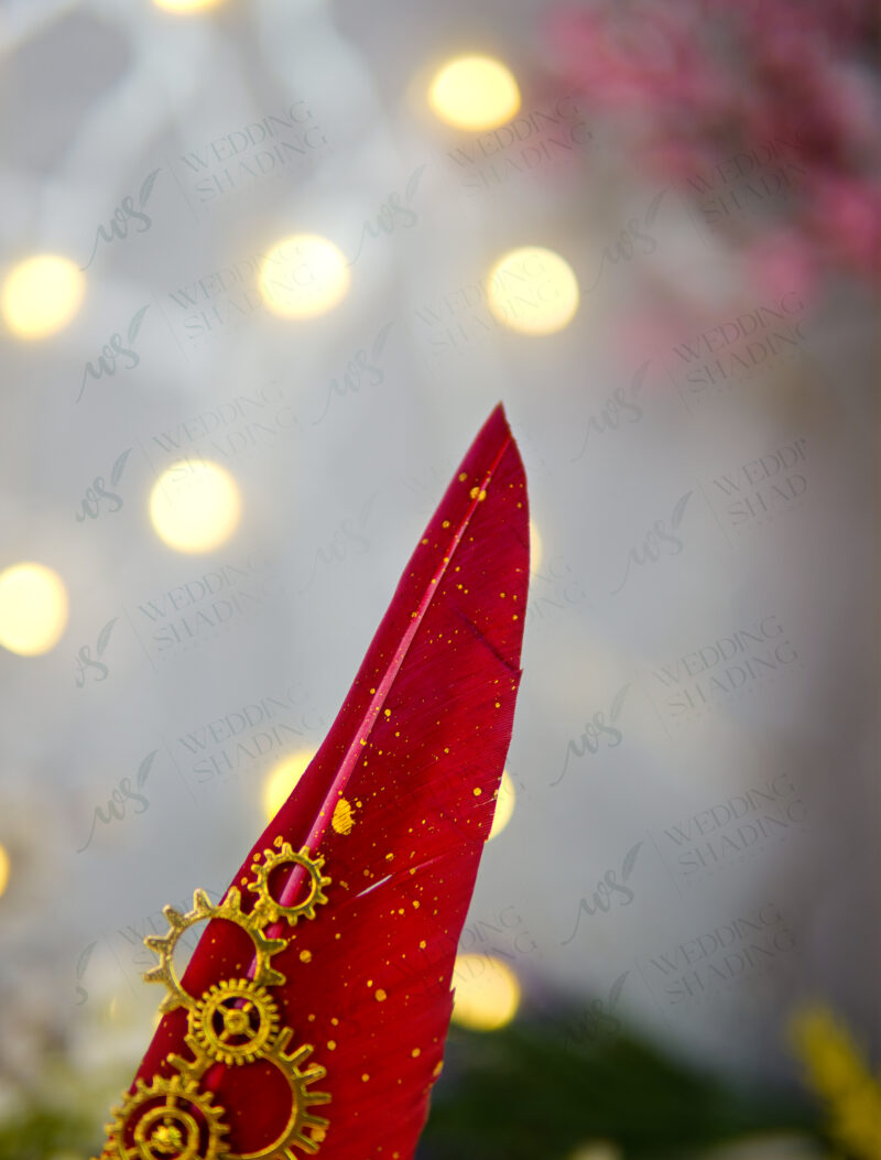 Red & Gold Steampunk Feather Nikkah Pen by Wedding Shading