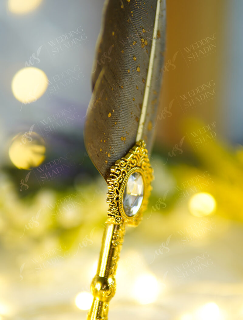 Beautifully broad brown feather adorned with shining golden specks